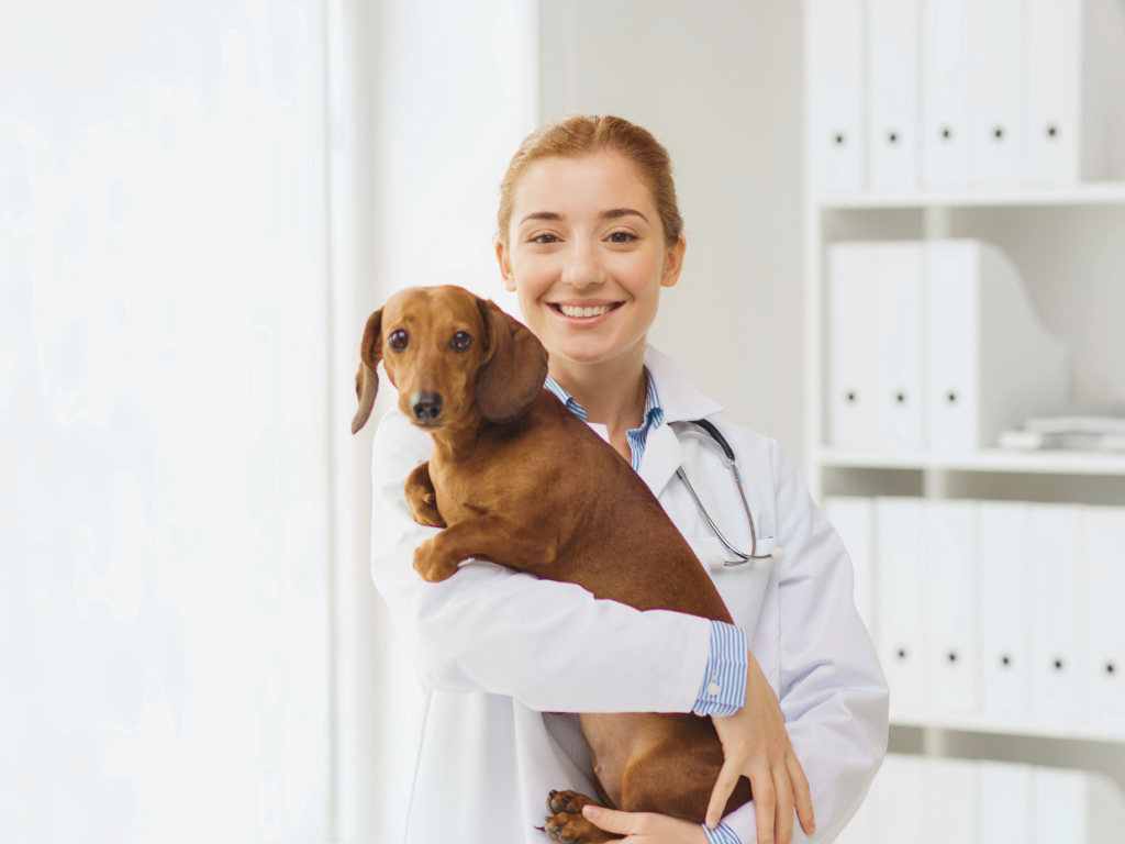 zespolenie wrotno oboczne